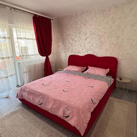 Apartament Cozy Dragasani エクステリア 写真