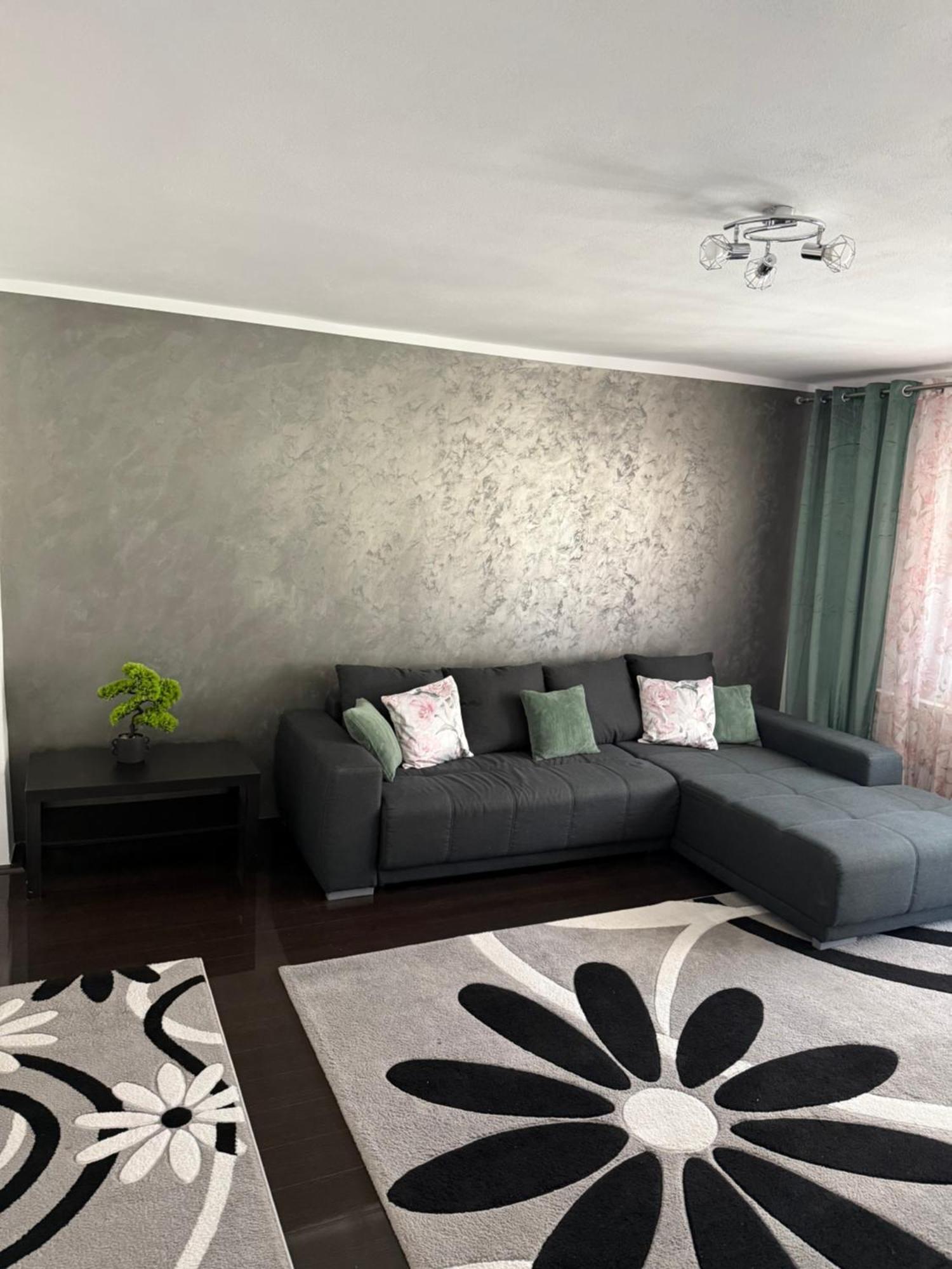 Apartament Cozy Dragasani エクステリア 写真