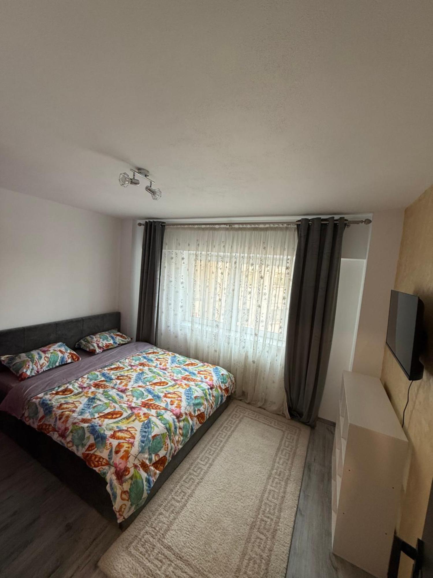 Apartament Cozy Dragasani エクステリア 写真