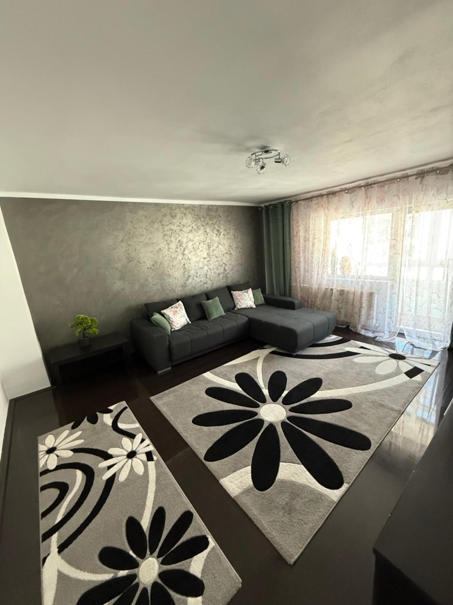 Apartament Cozy Dragasani エクステリア 写真