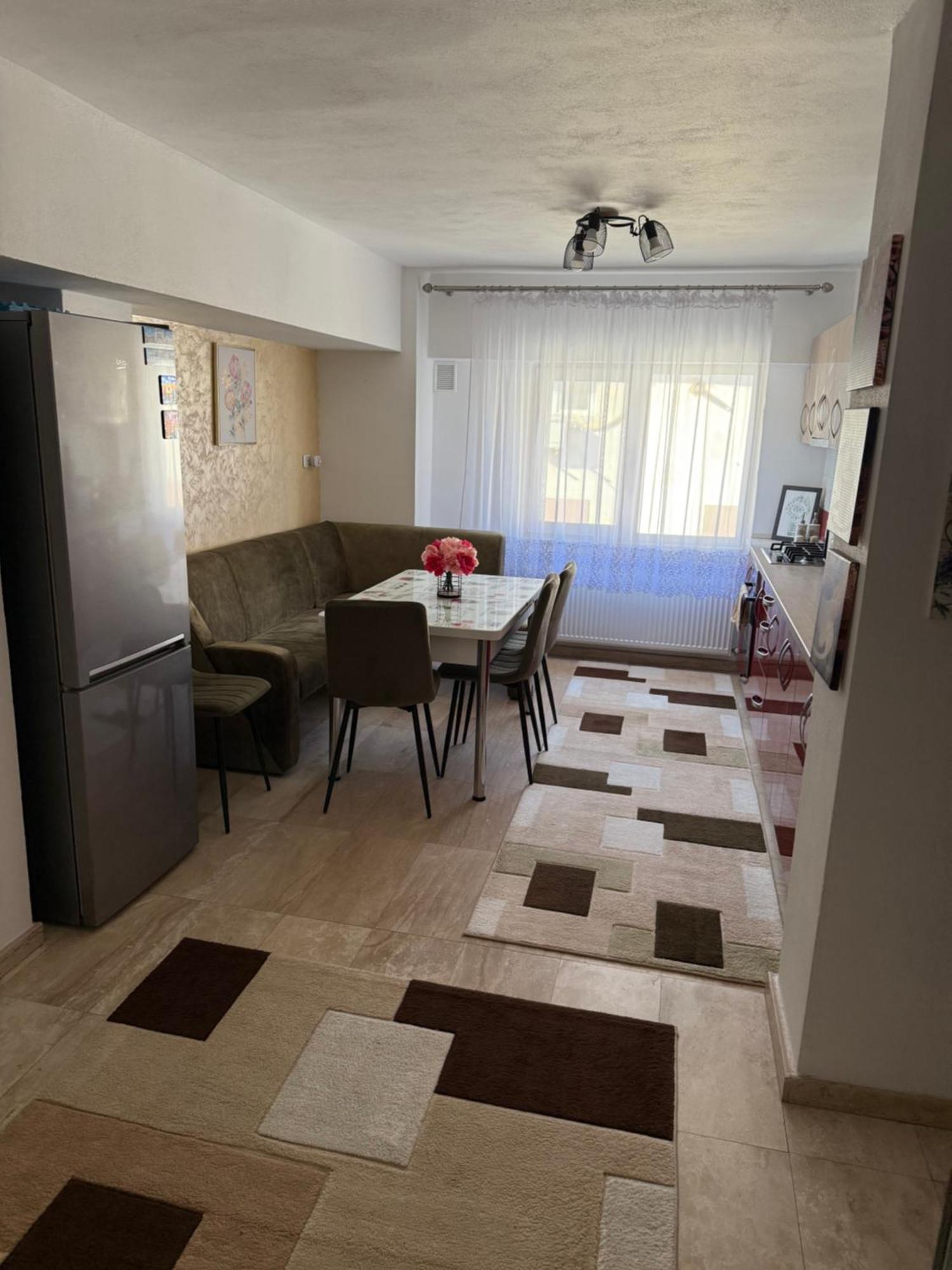 Apartament Cozy Dragasani エクステリア 写真