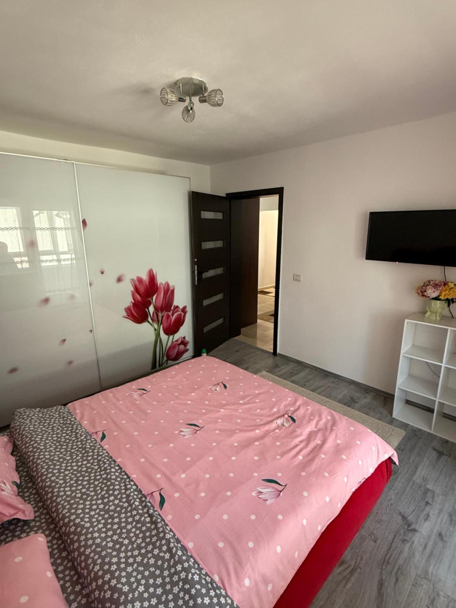 Apartament Cozy Dragasani エクステリア 写真
