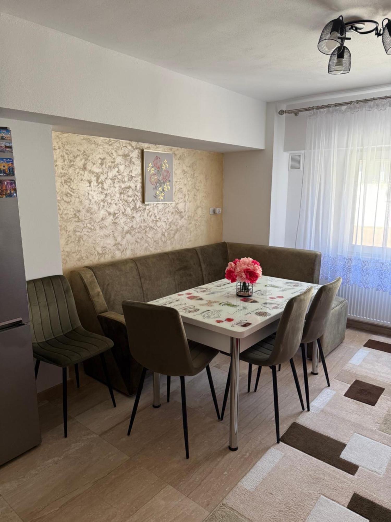 Apartament Cozy Dragasani エクステリア 写真