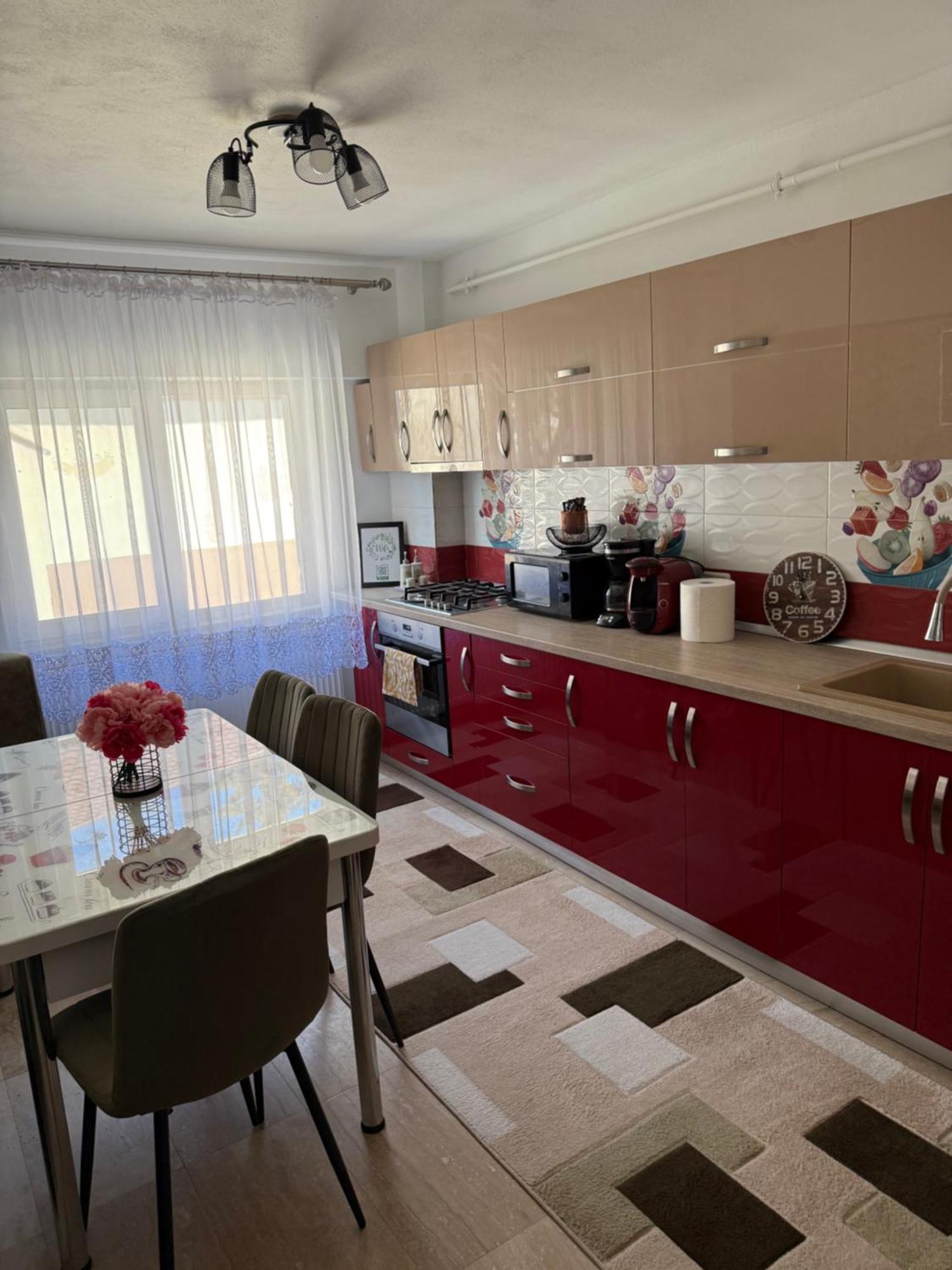 Apartament Cozy Dragasani エクステリア 写真