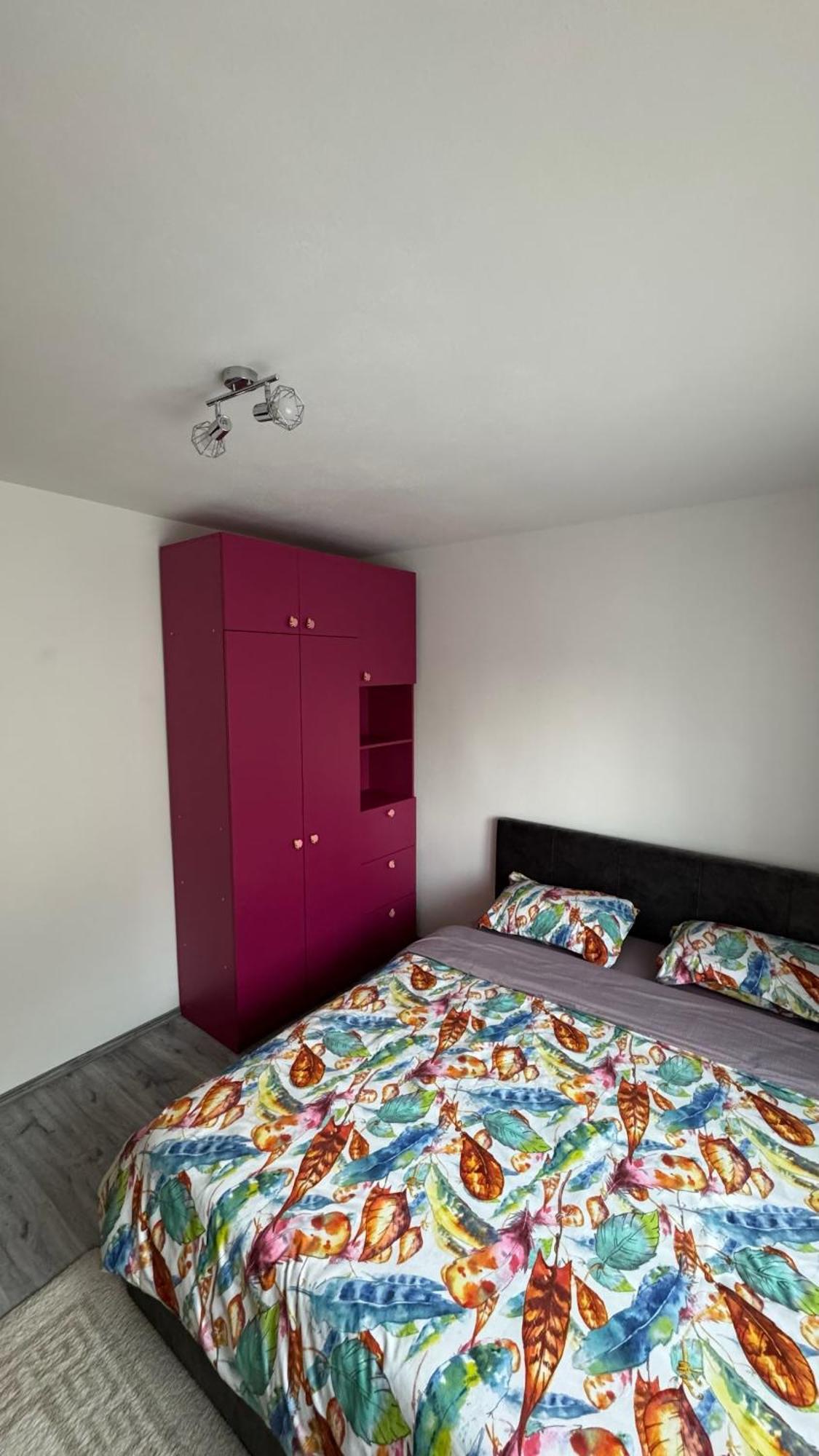Apartament Cozy Dragasani エクステリア 写真